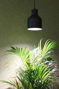E27-Pflanzenlampe Winter 18 Watt - Venso