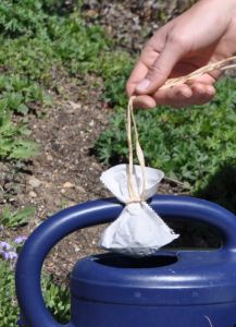 Kompost-Tee für alle Pflanzen