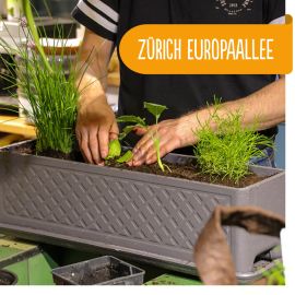 07.04.2024 Basiskurs Urban Gardening, 14:30 - 17:30 Uhr, Zürich Europaallee