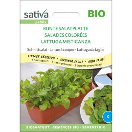 Schnittsalat Bunte Salatplatte