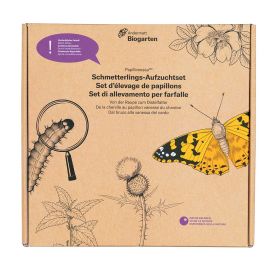 Papillonessa Aufzucht-Set für Schmetterlinge