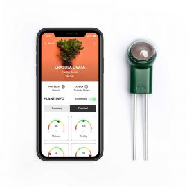 FYTA Beam – Sensor für die smarte Pflanzenpflege
